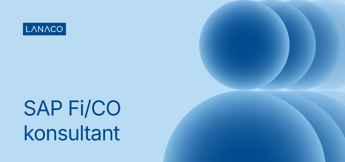 SAP FI/CO konsultant