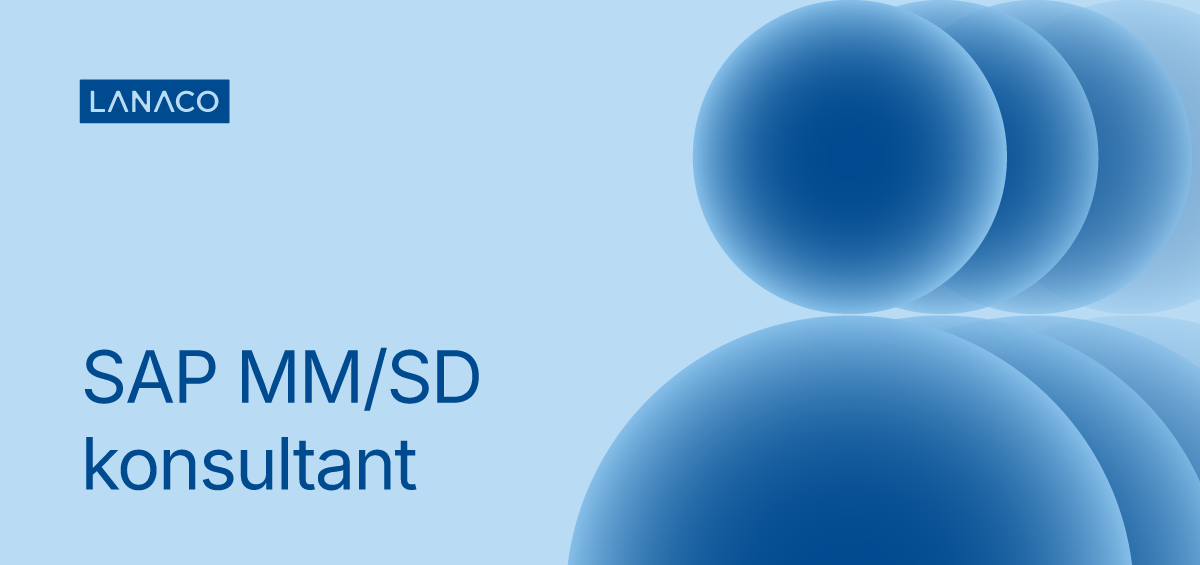 SAP MM/SD konsultant